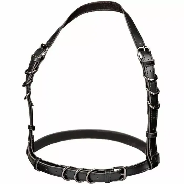 Haltera siksna — CalExotics Euphoria Plus Size Photo 4