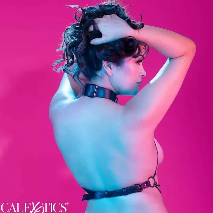 CalExotics Euphoria Plus Size multi-chain collar harness Photo 6