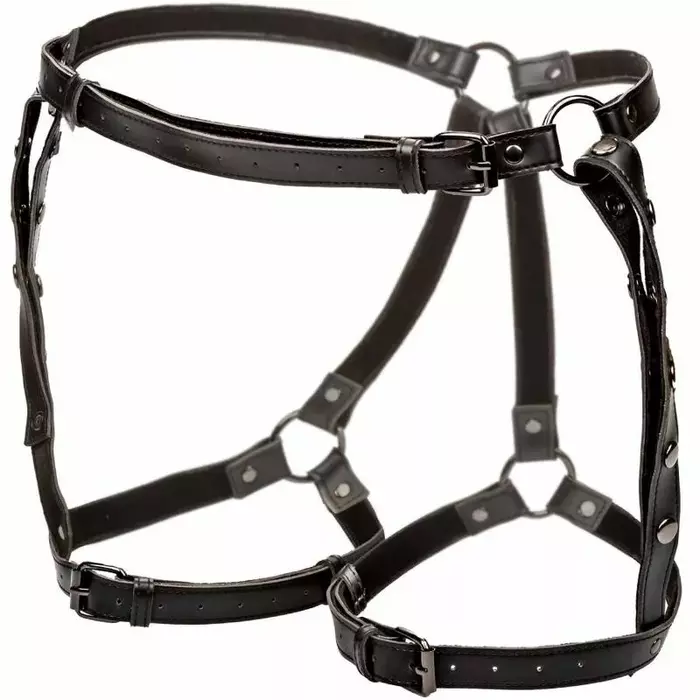 Thigh Riding Harness CalExotics Euphoria Plus Size Photo 4