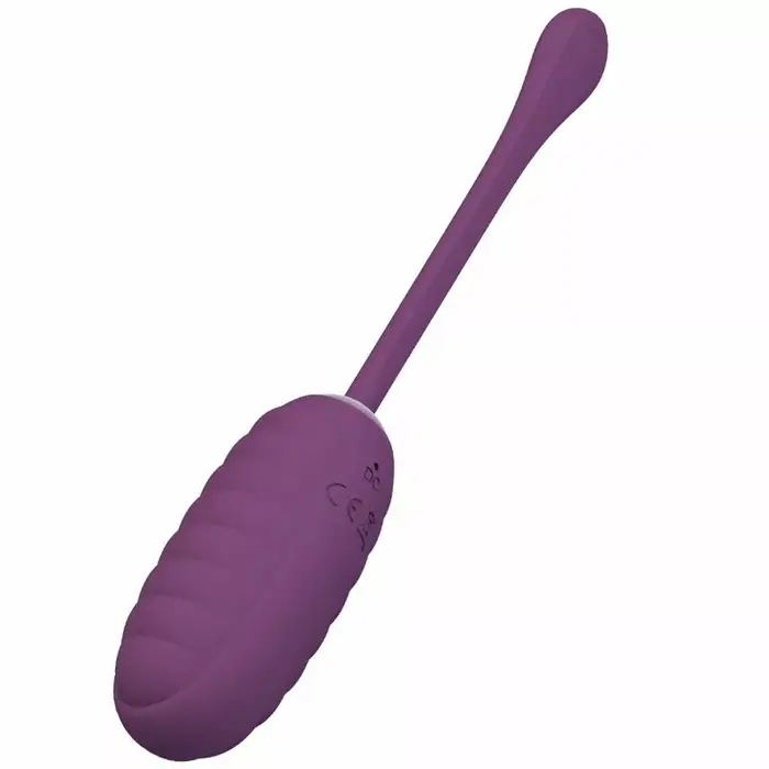 Vibrating egg pretty love Casper Purple Photo 2