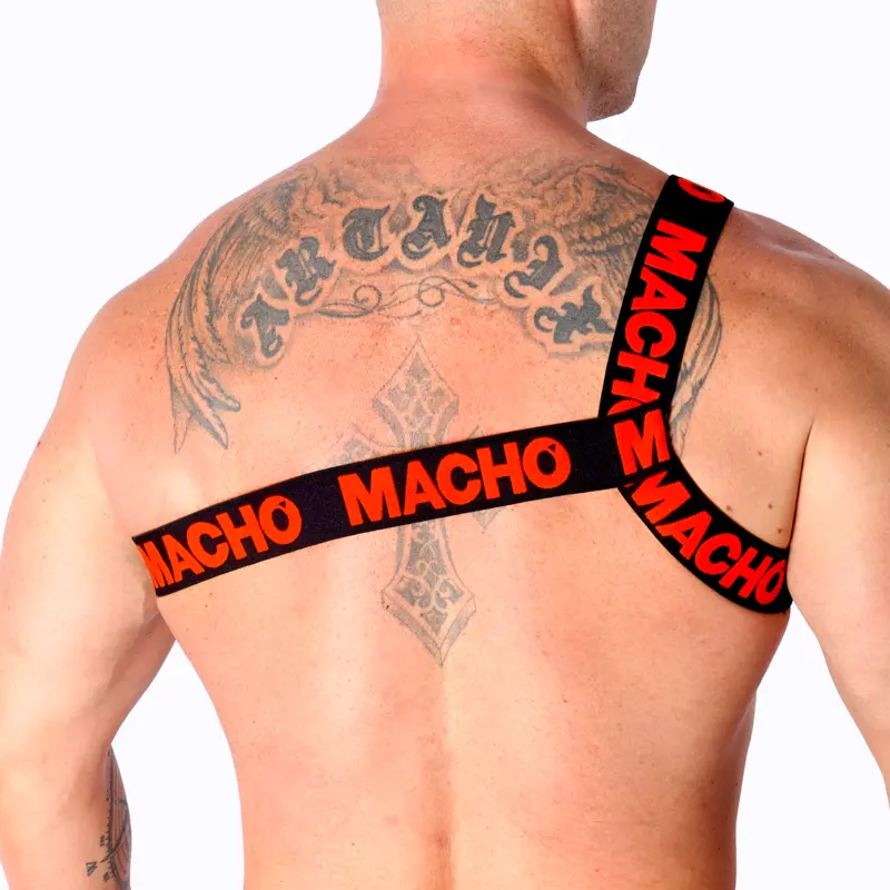 Боди-гарнитура machounderwear ROMAN L/XL Photo 5