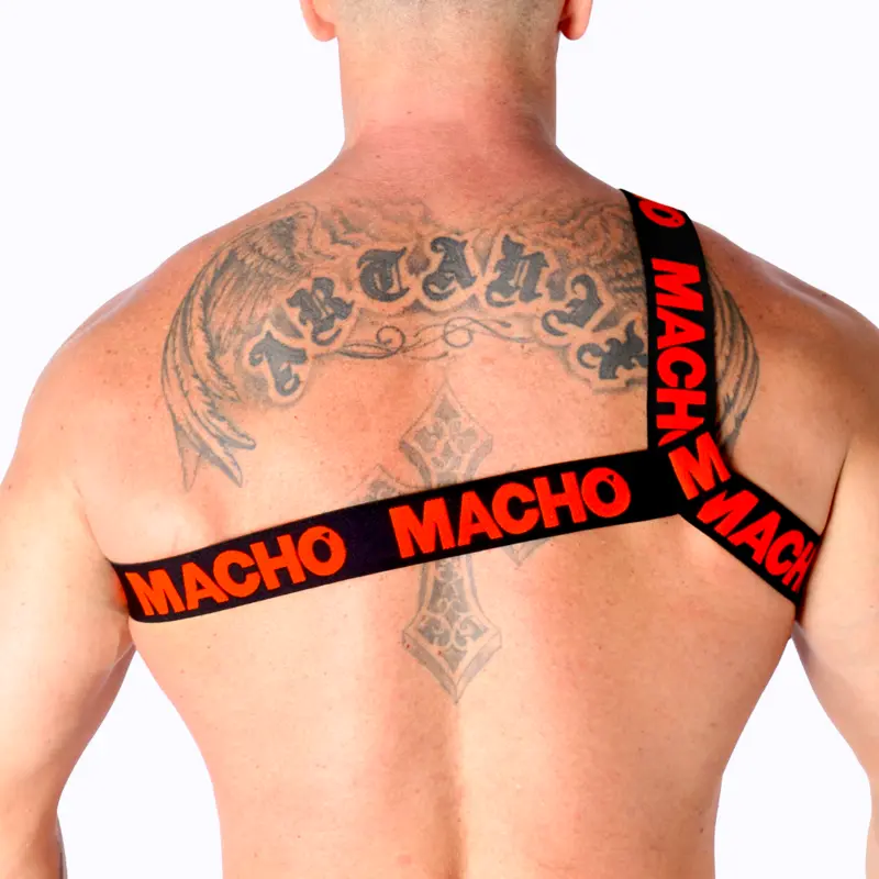 Боди-гарнитура machounderwear ROMAN L/XL Photo 6