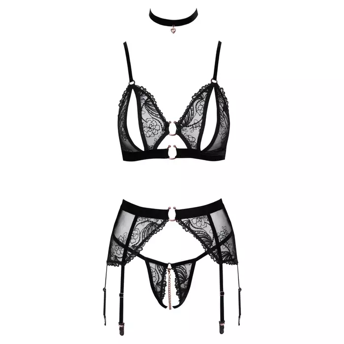 Apakšveļas komplekts abierta fina Bra Suspender Set L Photo 8