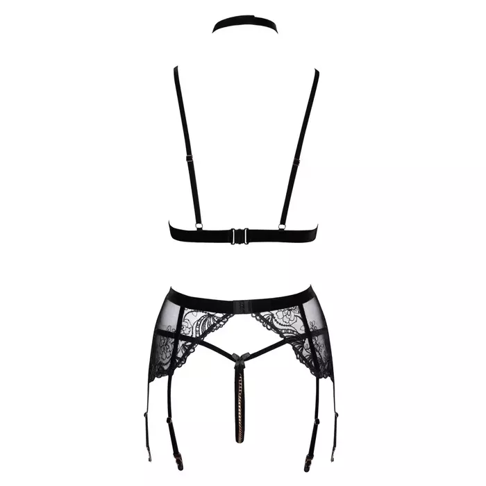 Apakšveļas komplekts abierta fina Bra Suspender Set L Photo 9