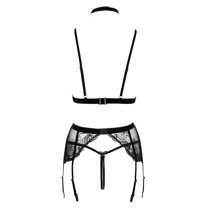 Apakšveļas komplekts abierta fina Bra Suspender Set XL Photo 9