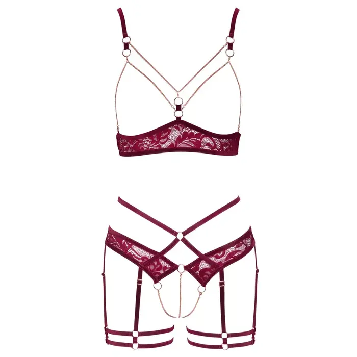 Suspender set abierta fina abierta cup XL Photo 9