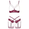 Suspender set abierta fina abierta cup XL Photo 9