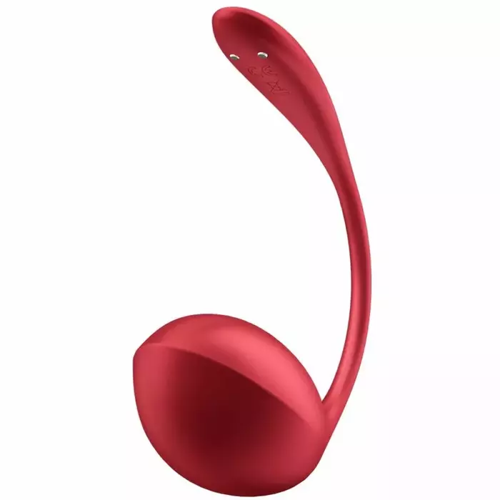 G-spot stimulator SATISFYER Shiny Petal Photo 4