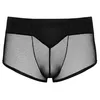 Мужские трусы Svenjoyment 21334151731 XL Photo 5