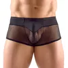 Мужские трусы Svenjoyment 2XL Photo 2