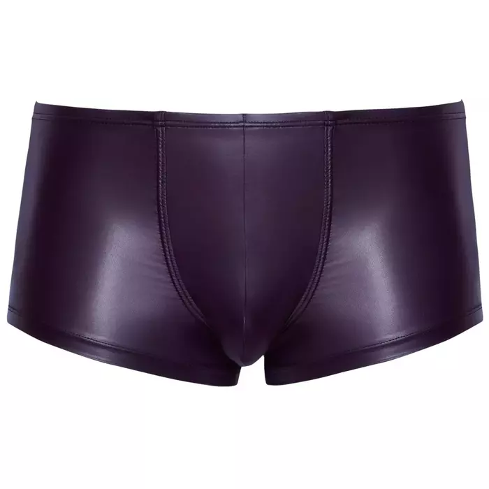 Унисекс трусы Svenjoyment Men's Pants L Photo 5