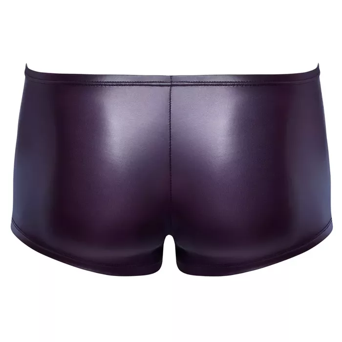 Унисекс трусы Svenjoyment Men's Pants L Photo 6