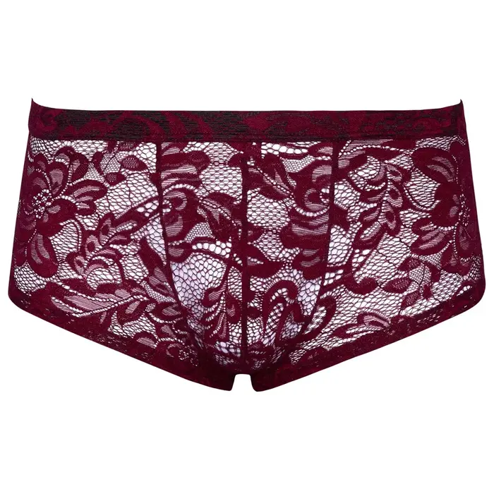 Vīriešu biksītes Svenjoyment 2XL — caurspīdīgas tumši sarkanas mežģīnes Photo 5