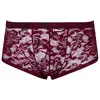 Vīriešu biksītes Svenjoyment 2XL — caurspīdīgas tumši sarkanas mežģīnes Photo 5