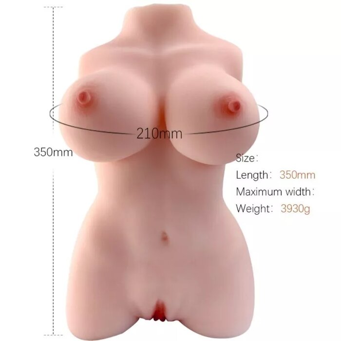 Sieviešu torso modelis, ARMONY, D-238259 Photo 1
