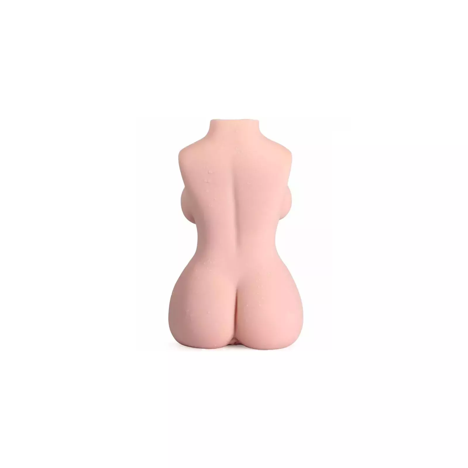 Sieviešu torso modelis, ARMONY, D-238259 Photo 6