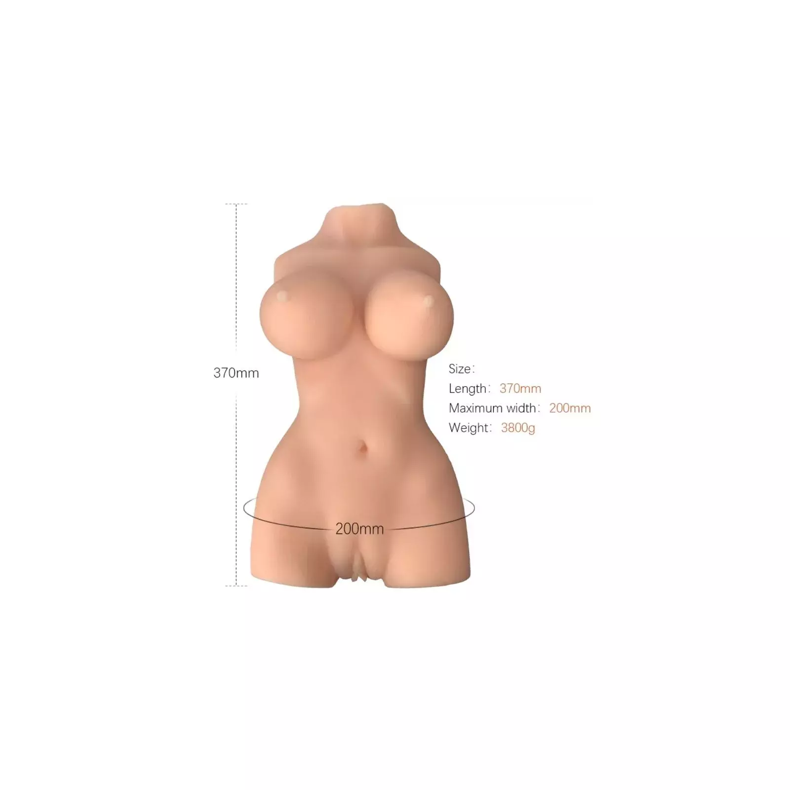 ARMONY Realistic Female Torso Model 7 Photo 1