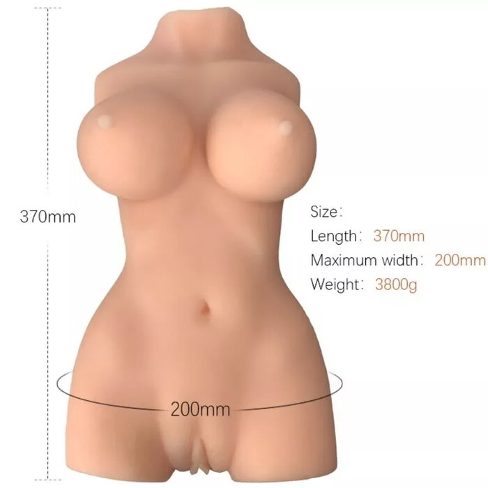 ARMONY Realistic Female Torso Model 7 Photo 1