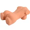 ARMONY Realistic Female Torso Model 7 Photo 3
