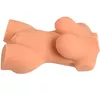 ARMONY Realistic Female Torso Model 7 Photo 4