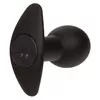 Anal Vibrator CalExotics ROCK BOTTOM Photo 5