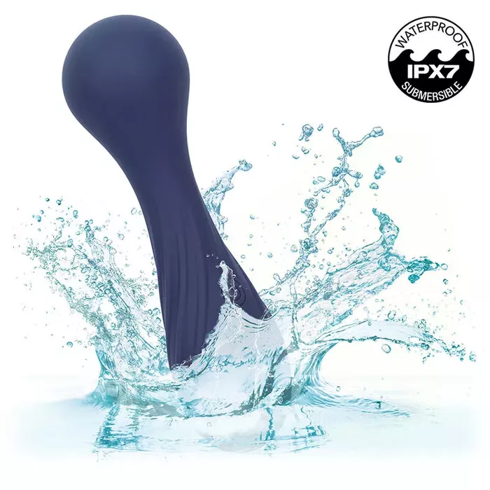 CalExotics Charisma Temptation personal massager Photo 9