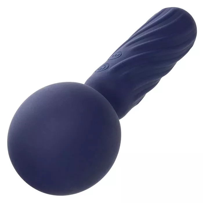 CalExotics Charisma Seduction handheld massager Photo 4
