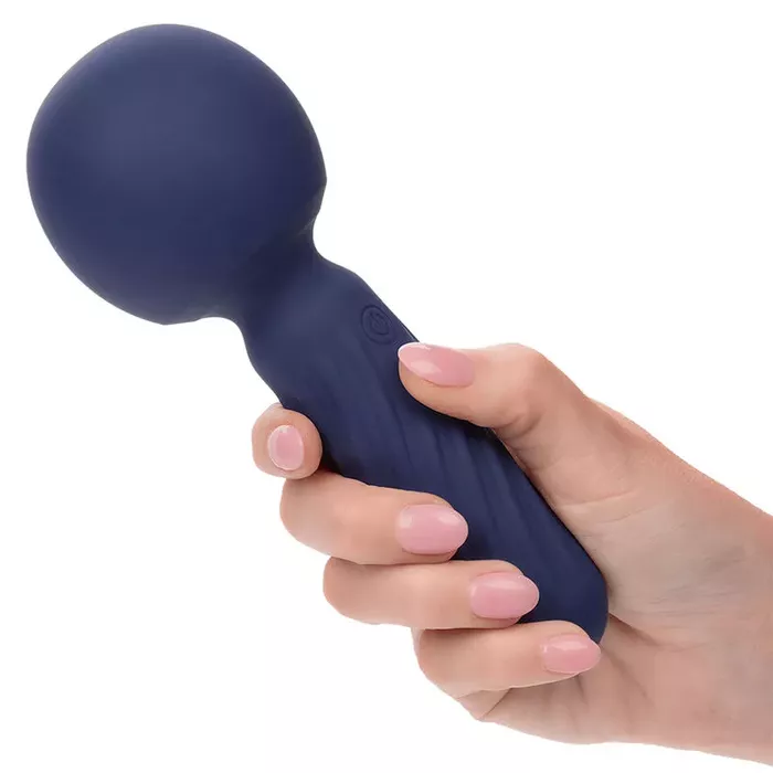 CalExotics Charisma Seduction handheld massager Photo 5