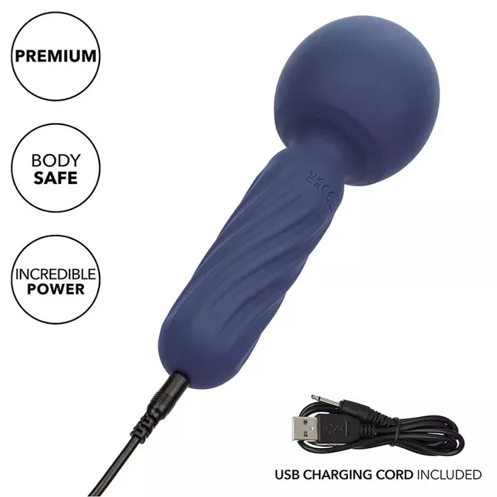 CalExotics Charisma Seduction handheld massager Photo 6