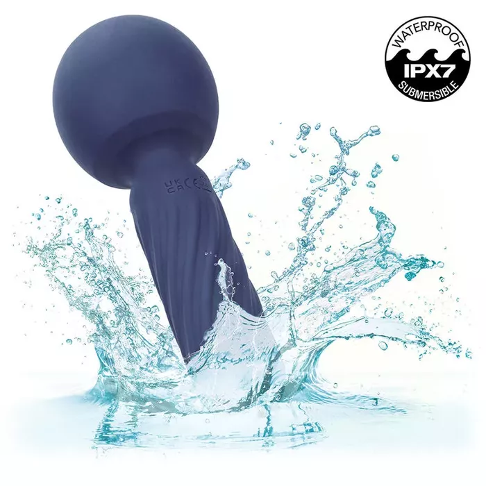 CalExotics Charisma Seduction handheld massager Photo 8