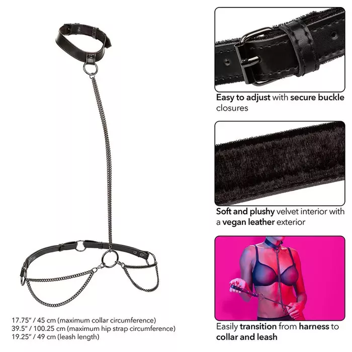 CalExotics Euphoria Chain Halter Collar & Leash Photo 3