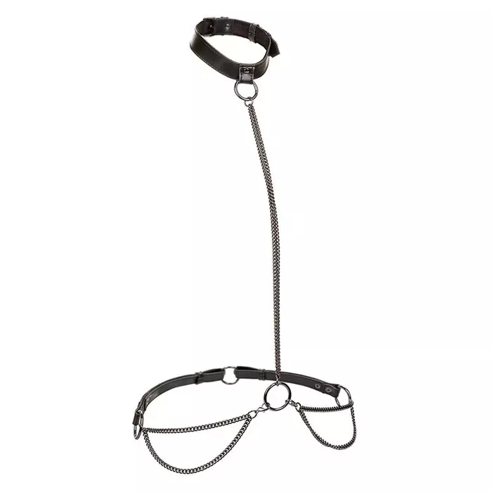 CalExotics Euphoria Chain Halter Collar & Leash Plus Size Photo 2