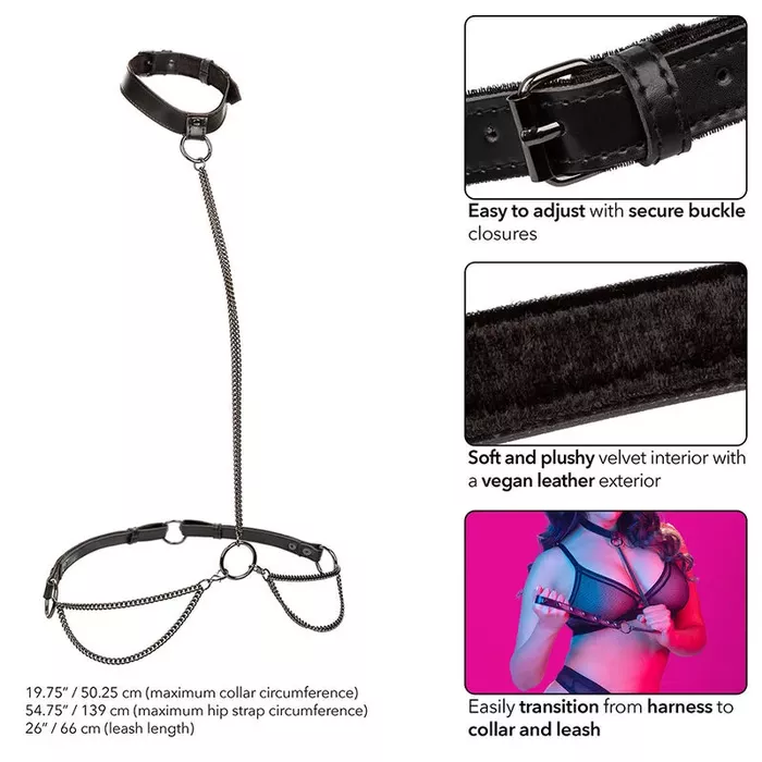 CalExotics Euphoria Chain Halter Collar & Leash Plus Size Photo 5
