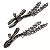 CalExotics Euphoria Chain Nipple Clamps D-241469 Photo 3