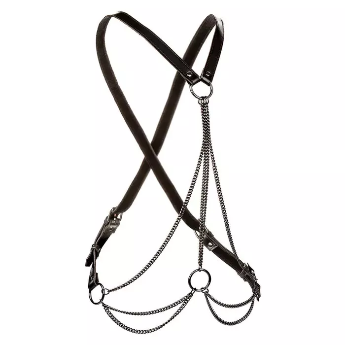 CalExotics Euphoria Multichain Harness Premium — body harness Photo 2