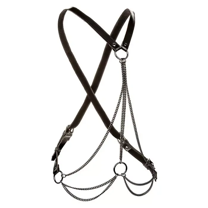 Harness CalExotics Euphoria Multichain Harness Premium Plus Size Photo 2