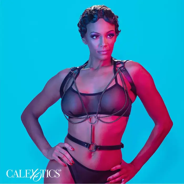 CalExotics Euphoria Multichain Halter Harness Premium Photo 4