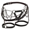 CALEXOTICS Euphoria Пояс для Бедер D-241477 Photo 2