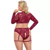 Lingerie set Cottelli Collection Top and Briefs 2XL Photo 4