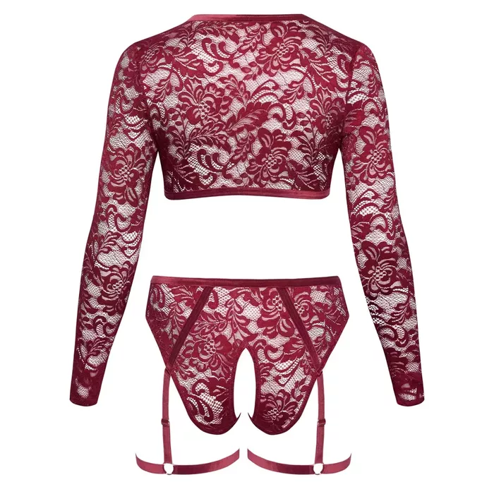 Lingerie set Cottelli Collection top and briefs 3XL Photo 6