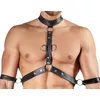 Men's harness and pants Svenjoyment size S Photo 5