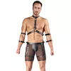 Men's Harness and Pants L — Svenjoyment Photo 2