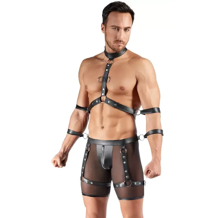 Men's Harness and Pants L — Svenjoyment Photo 3