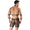 Men's Harness and Pants L — Svenjoyment Photo 4