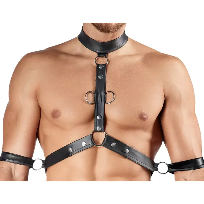 Men's Harness and Pants L — Svenjoyment Photo 5