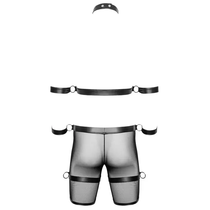 Men's Harness and Pants L — Svenjoyment Photo 8