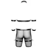Men's Harness and Pants L — Svenjoyment Photo 8