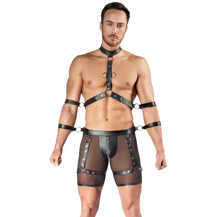 Harness and Pants XL Svenjoyment — two-piece harness set Photo 2