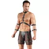Harness and Pants XL Svenjoyment — two-piece harness set Photo 3