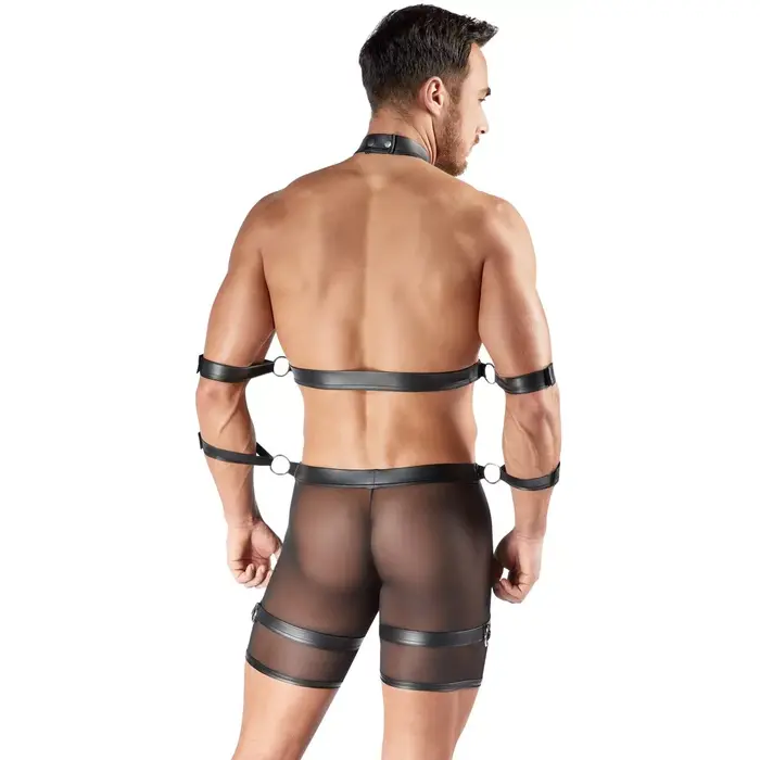 Harness and Pants XL Svenjoyment — two-piece harness set Photo 4